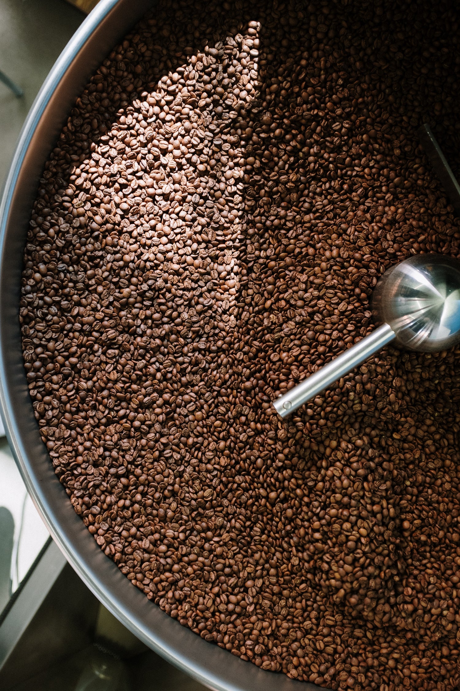 Fresh coffee beans being roasted in a small-batch roaster, with rich brown beans swirling inside a metal drum.